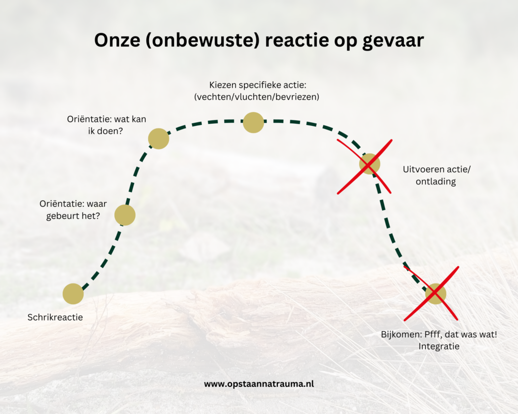 Onze (onbewuste) reactie op gevaar